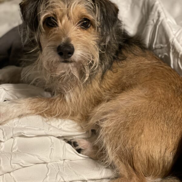 20221215_024702608_iOS