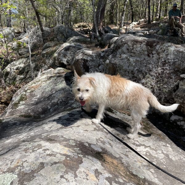 20230408_193244870_iOS