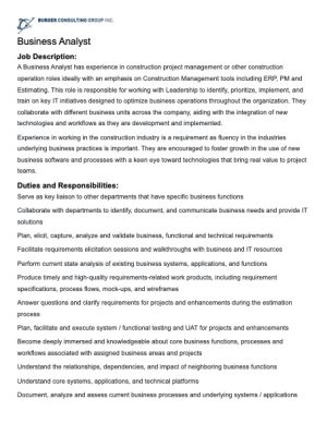Screenshot of the Business Analyst job description, duties and responsibilities.